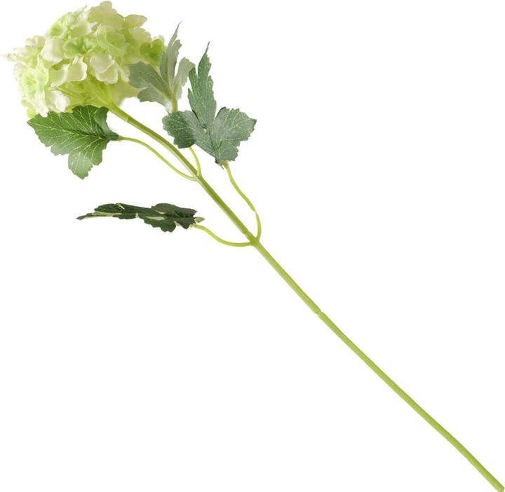 Immagine prodotto Disco Möbel Hortensie (30 cm)