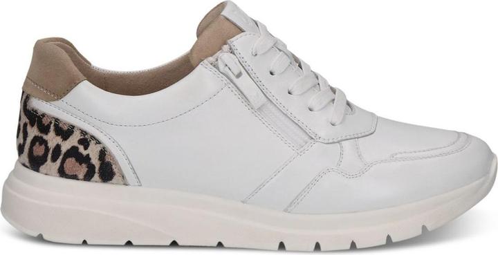 Pettine bianco sporco