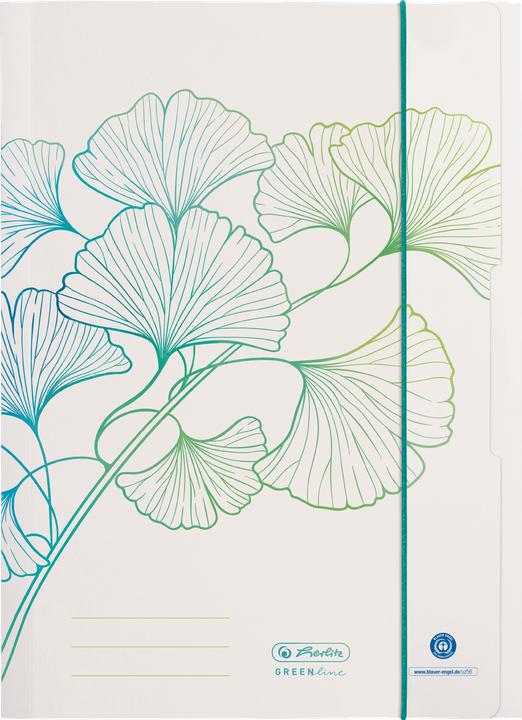 Actual product image Herlitz A4 GREENline Ginkgo folder (A4, 1x)