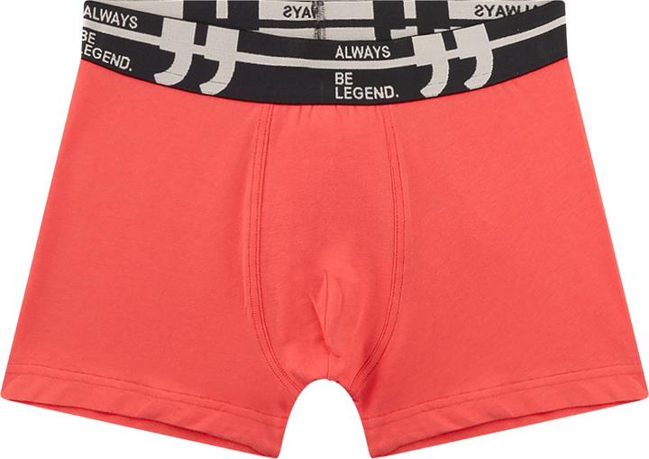 Immagine prodotto Sanetta SET Short 5er Pack (164, Confezione da 5 pezzi)