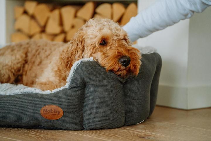 Actual product image Nobby Comfort bed oval CACHO (Dog)