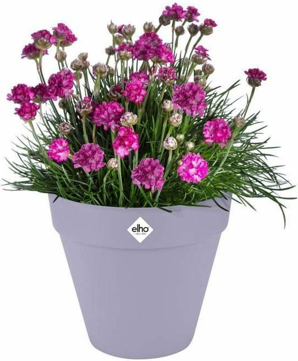 Actual product image Elho Loft Urban Round (30 x 26 cm)