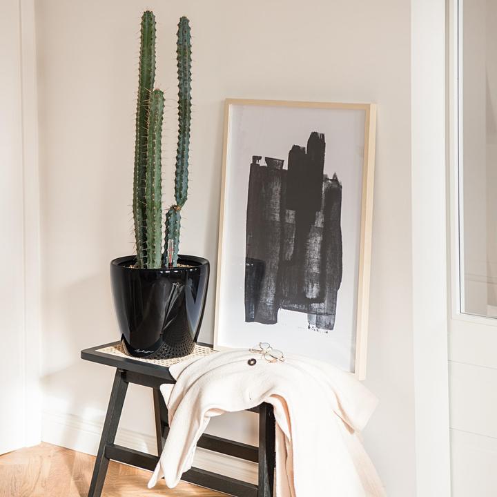 Produktbild Lechuza Classico (36 cm)