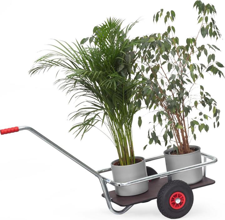 Actual product image Fetra Handcart 6091 pneumatic tyres
