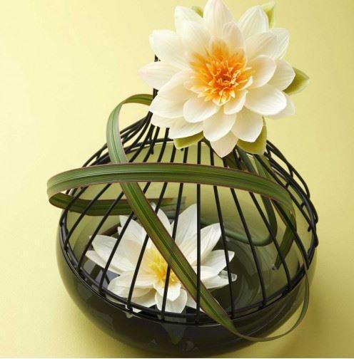 Leonardo Dekoblume Seerose Fiore
