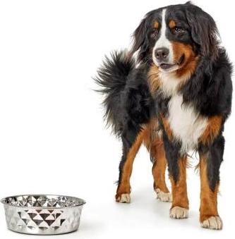 Produktbild Hunter Napf Namy für Hunde und Katzen XXL (410 cl)