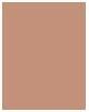 Actual product image Shiseido Synchro Skin Correcting GelStick (Light)
