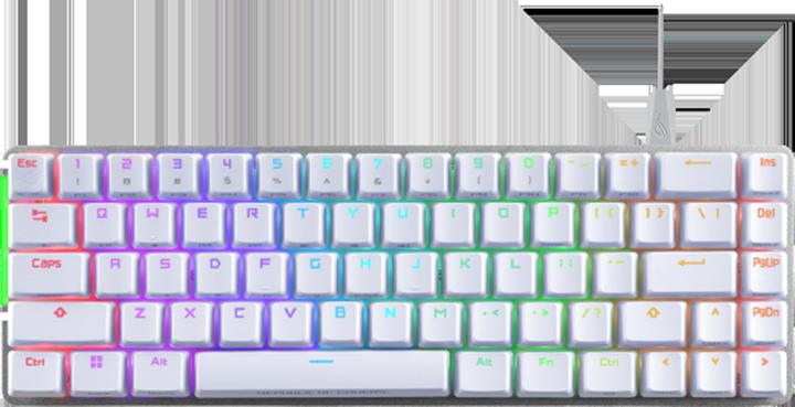 Produktbild ASUS ROG Falchion RX (CH, Kabellos, Kabelgebunden)