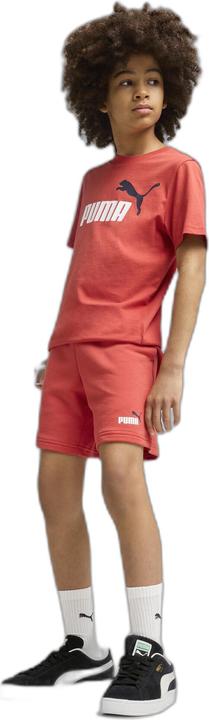 Produktbild Puma ESS 2 COLOR No. 1 Logo Shorts TR B