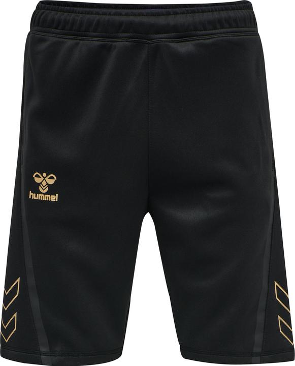 Actual product image hummel Cima Xk Shorts (L)