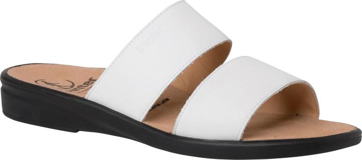 Actual product image Ganter Sonnica (40.5)