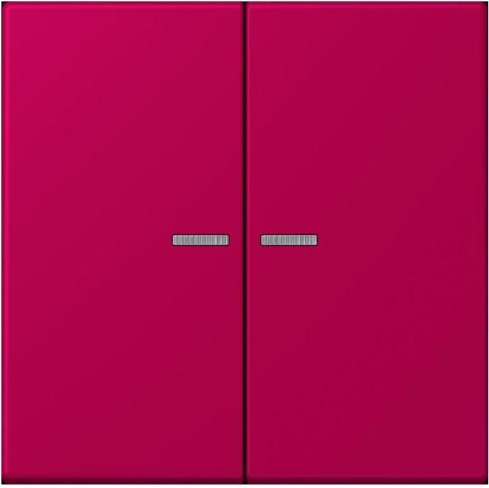 Actual product image JUNG Button