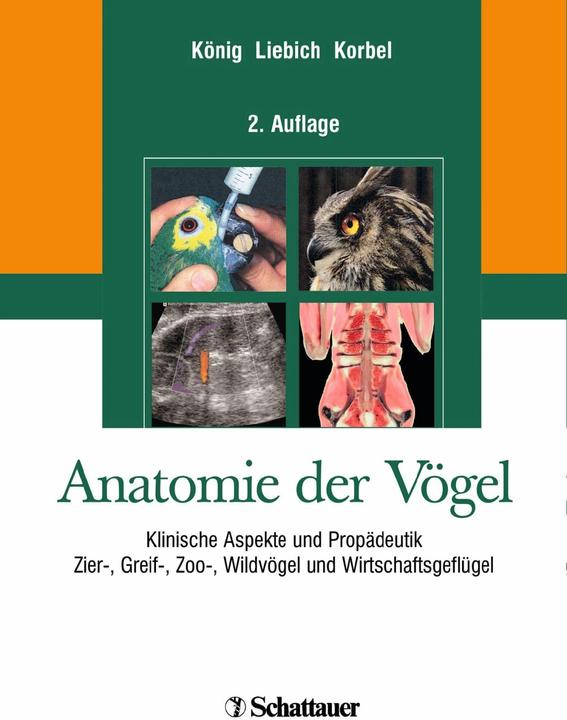 Produktbild Anatomie der Vögel (Deutsch, Hans-Georg Liebich, Horst Erich König, Rüdiger T. Korbel, 2008)
