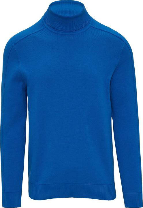Produktbild s.Oliver Strickpullover Strukturierter Rollkragenpullover mit Naht-Details (M)
