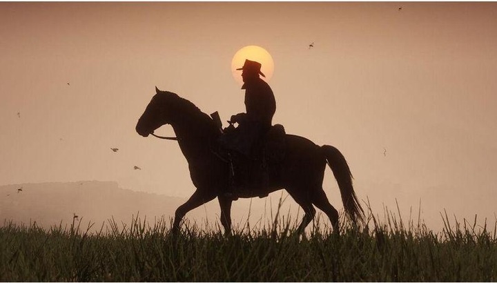 Produktbild Rockstar Red Dead Redemption 2 (PS4, DE)