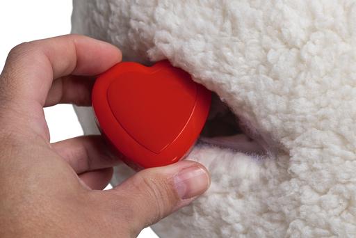 Actual product image Beeztees Herzschlag (Puppy Toy)