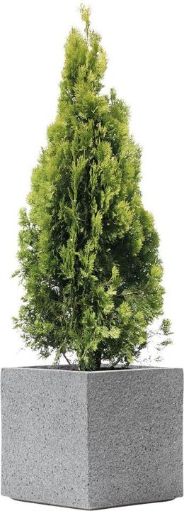Produktbild Kirschke Rockline (37 x 37 x 37 cm)