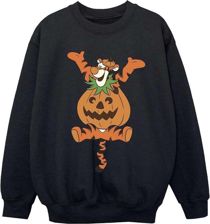 Produktbild Winnie the Pooh Sweatshirt Mädchen (128)