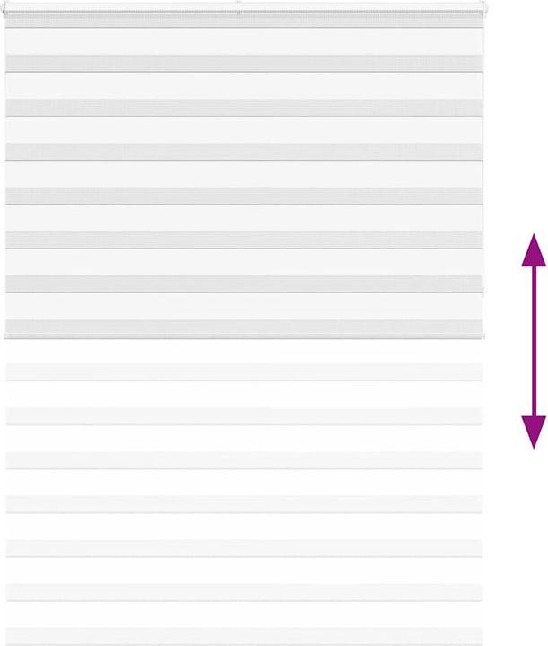 Produktbild vidaXL Zebra-Jalousie (155 x 230 cm)