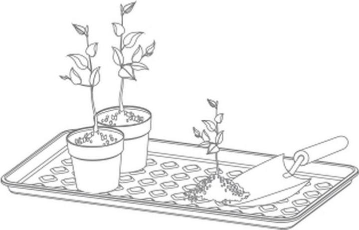 Produktbild Prosperplast Abtropfgestell