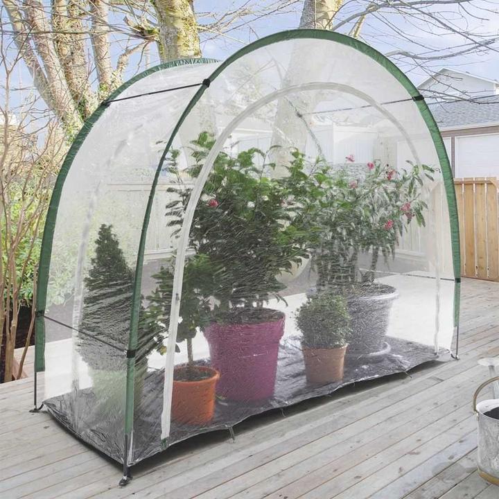 Actual product image BioGreen Maxigreen