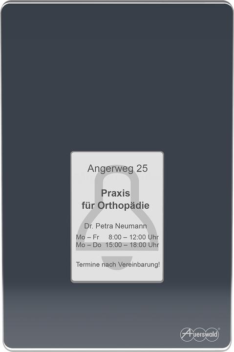 Actual product image Auerswald TFS-Dialog 400 anthracite Intercom system for a/b interfaces with elegant glass front