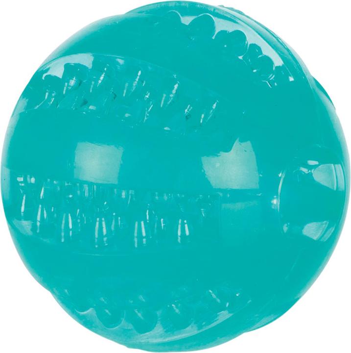 Trixie Denta Fun Mintfresh Ball D=6cm