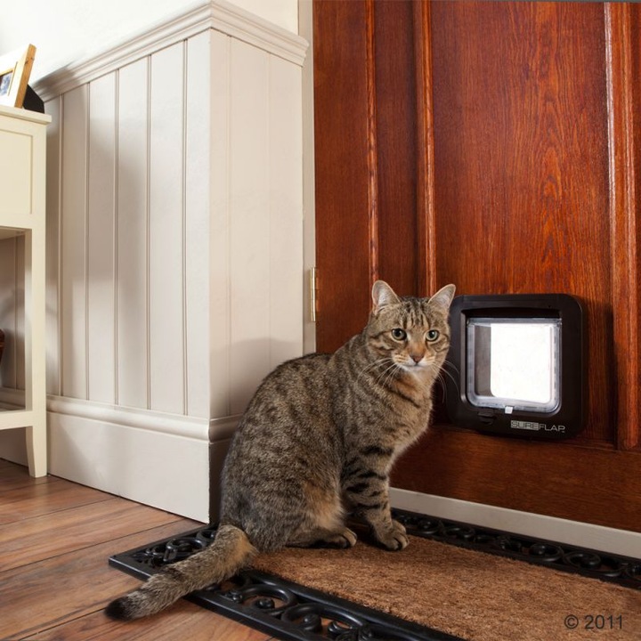 Productafbeelding SureFlap Microchip kattendeur (Microchip kattenluikje)