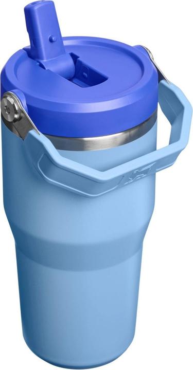 Produktbild Stanley 1913 IceFlow Flip Straw Becher (0.59 l)