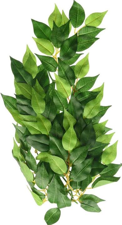 Productafbeelding Exo Terra Jungleplant Fikus M