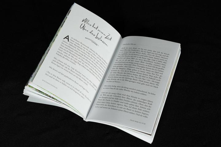 Produktbild Alles wird gut (Deutsch, Stefan Goedecke, 2021)