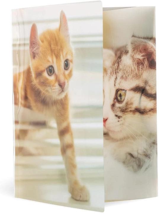 Immagine prodotto HERMA Cartella a motivi A4 (A4, 1 x)