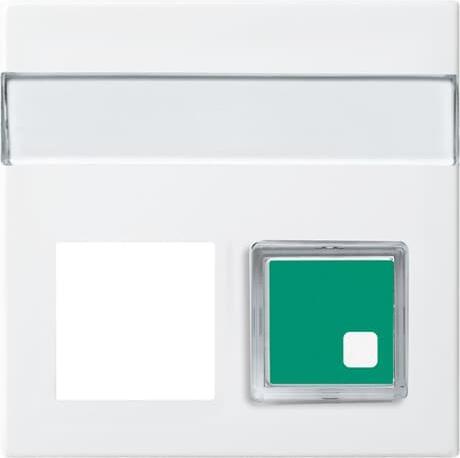 Produktbild Busch-Jaeger Zentralscheibe 1572 CN-914 Schriftfeld 2fach alpinweiss