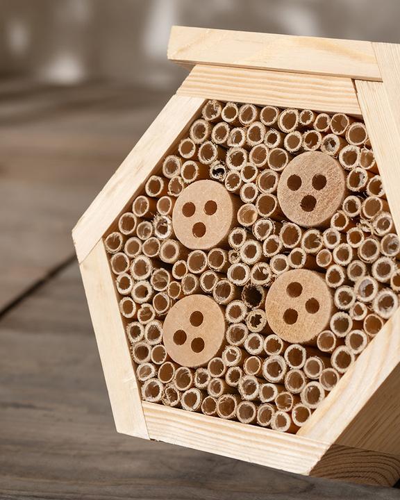 Actual product image feey Forsisens (Wild bees)