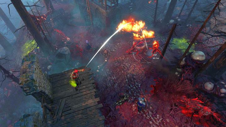 Actual product image Bandai Namco Divinity: Original Sin 2 - Definitive Edition (PS4, Multilingual)