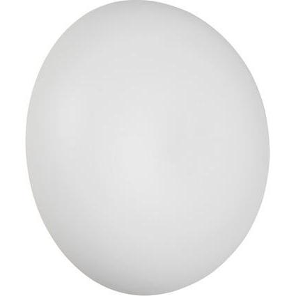 RL live your light, Applique + Plafoniera, Reality R24431131 Davey LED Wandleuchte 1,5W ⌀15,5cm Weiss Matt warmweiss Touch