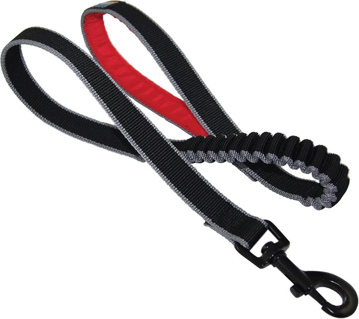 Actual product image Kurgo Springback Leash (Dog, Jogging)