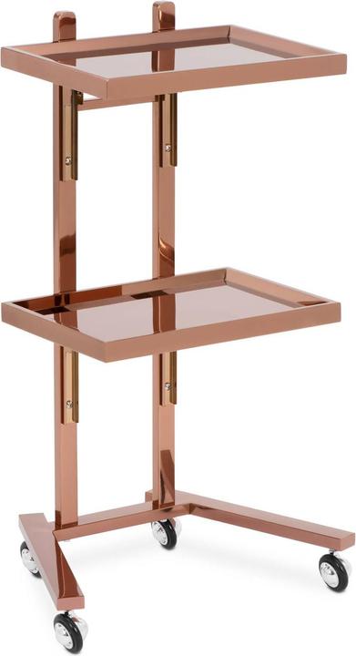 Actual product image Physa Beauty Trolley - 2 folding shelves - up to 10 kg - rose gold - stainless steel