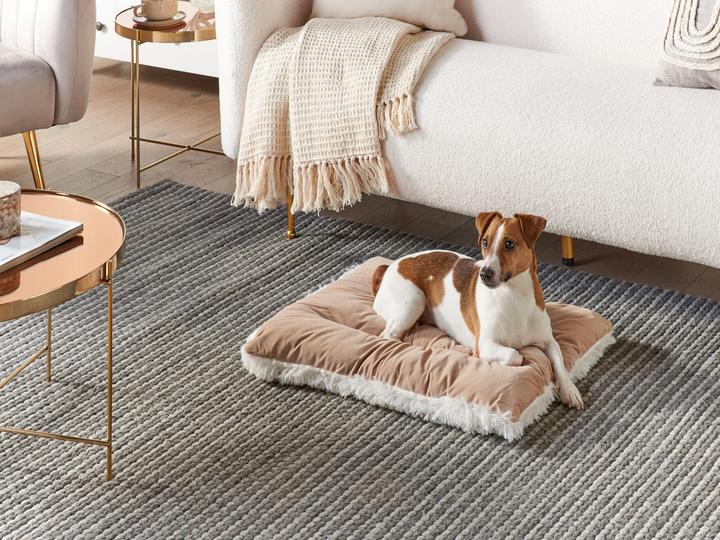 Immagine prodotto Beliani Letto per animali domestici in velluto beige 60 x 45 cm ERGANI (Cane)