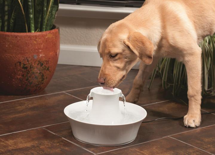 Image du produit Drinkwell PetSafe Avalon (2 l)