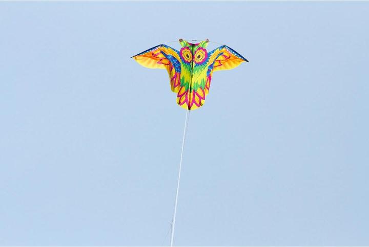 Produktbild Invento Flashy Owl Kite