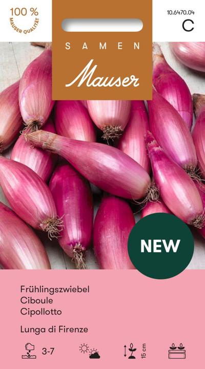 Actual product image Samen Mauser Spring onion Lunga di Firenze (Flower bulbs)