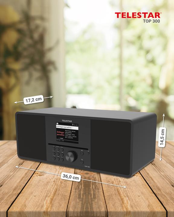 Productafbeelding Telestar Top 300 (DAB+, FM, Internet radio, Bluetooth, WiFi)