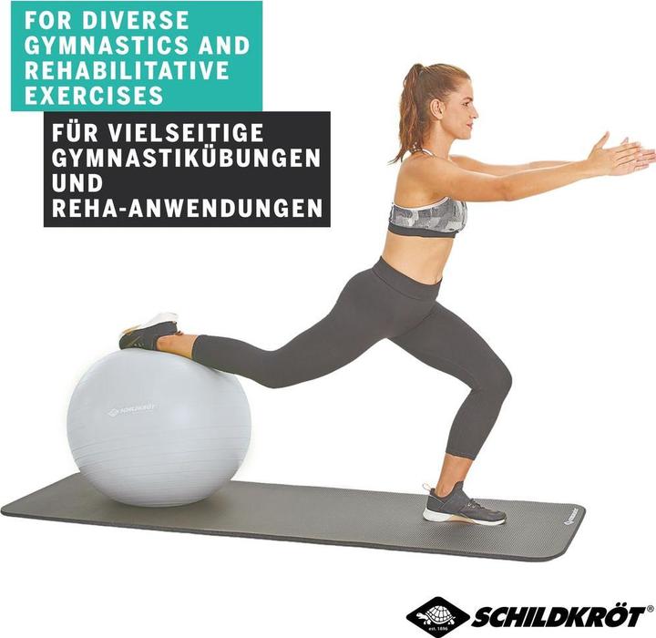 Image du produit Schildkröt Balle de gymnastique (55 cm)