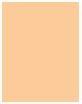Actual product image Baseofsweden THE BASE foundation #fresh 35 ml (Fresh)