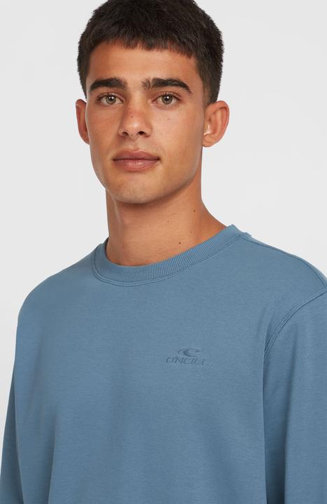 Actual product image O'Neill Small Logo Crew (M)