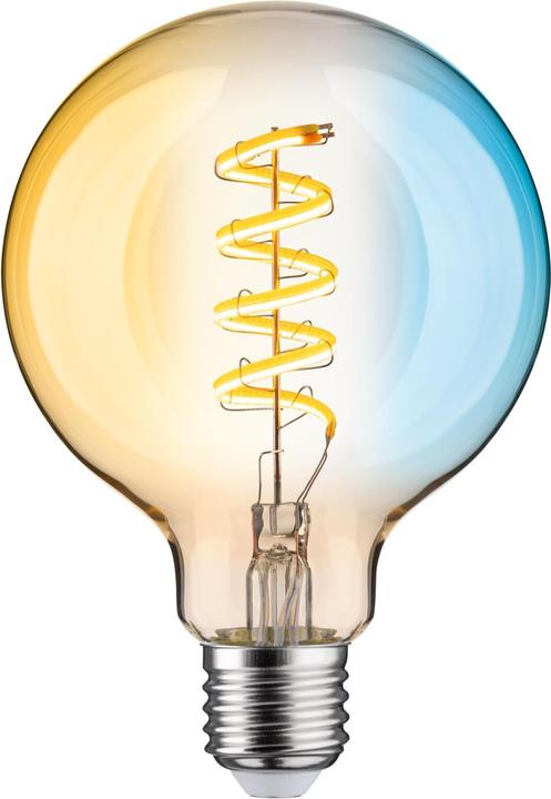 Image du produit Paulmann Globe (E27, 7.50 W, 600 lm, 1 x, G)