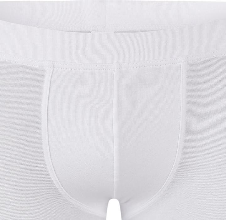 Immagine prodotto Schiesser Confezione da 4 pantaloncini / pantaloni in cotone organico 95/5 per ragazzi (164, confezione da 4)