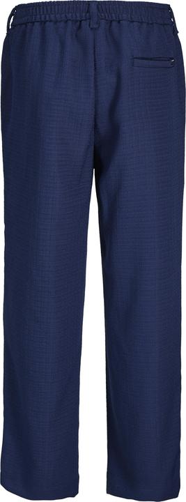 Actual product image Jack & Jones Jpstbill Jjalaska Jogger Styd Aw24 Ln (L)