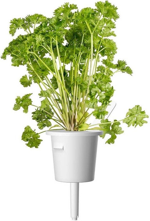 Immagine prodotto Click and Grow Capsula di substrato prezzemolo (Semi di erbe)